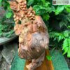 tuong-nho-soc-u-sun-go-pomu-cao-50cm