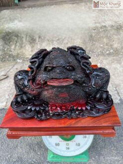 Tượng Thiềm Thừ Gỗ Trắc Đỏ Đen Cao 43(cm)