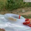 vong-ban-bang-sai-kim-hong-jadeite-a-myanmar-ni-56-4mm