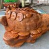 Tuong Long Quy Go Huong Cao 62 cm 4