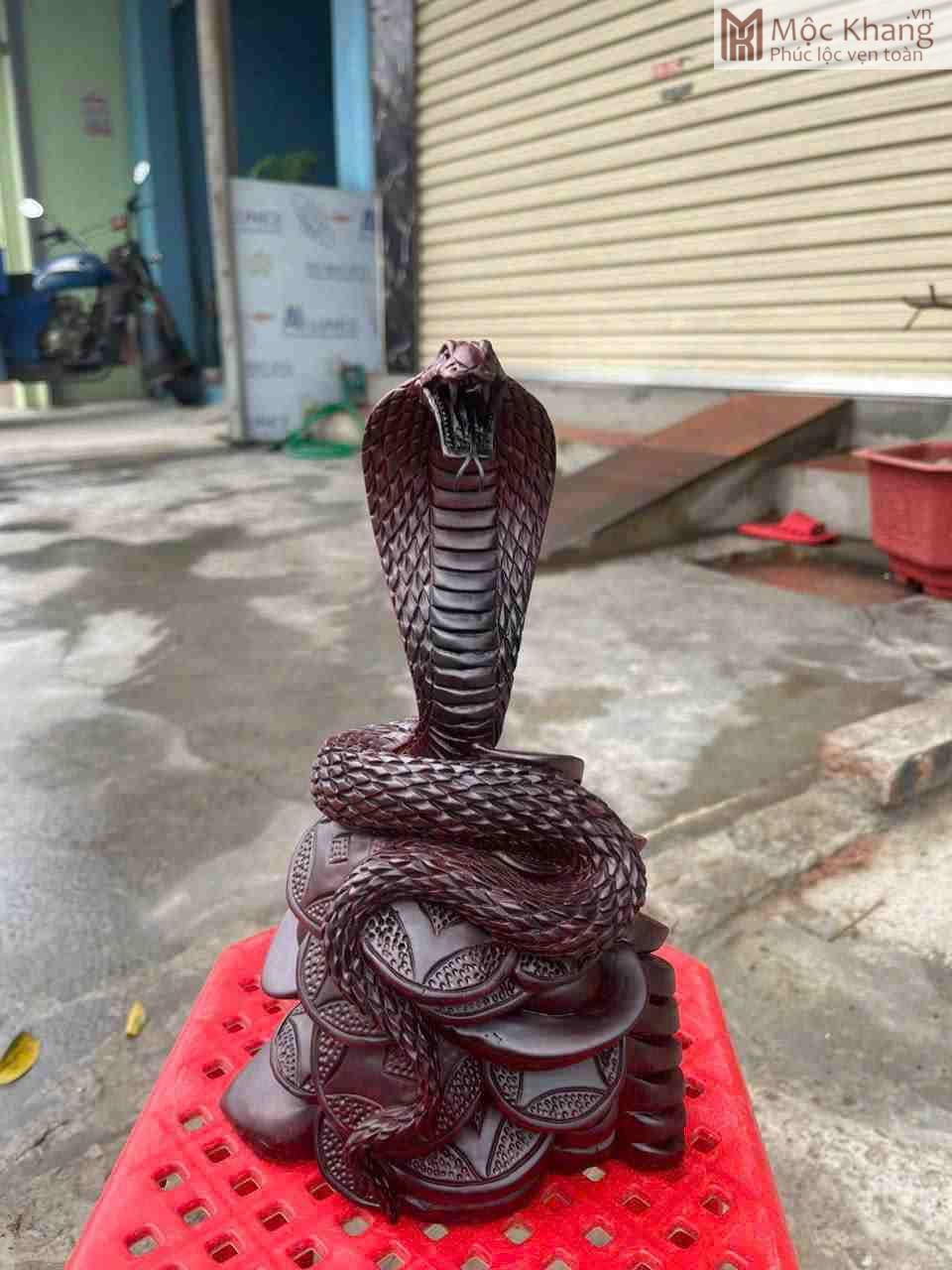 Tượng Rắn Gỗ Trắc Cao 28 (cm) (4)_5 Tượng Rắn Gỗ Trắc Cao 28 (cm)