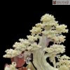 Tuong Tung Loc Truong Xuan Onyx Xanh Cao 48cm 4 4