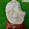 Bình Gỗ Hóa Thạch Cao 47(cm)