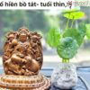 bo-8-vi-phat-ban-menh-go-bach-xanh-cao-12cm