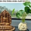 bo-8-vi-phat-ban-menh-go-bach-xanh-cao-12cm