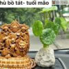 bo-8-vi-phat-ban-menh-go-bach-xanh-cao-12cm