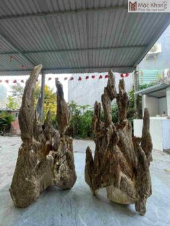 Cặp Trầm Cảnh Tự Nhiên Cao 55(cm)