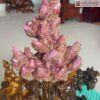 cay-tinh-the-ruby-tai-loc-cao-26cm