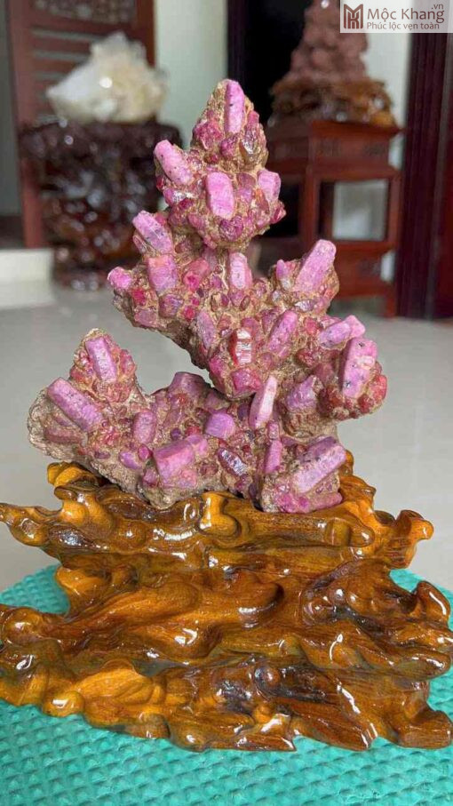 Cây Tinh Thể Ruby Tài Lộc Cao 26(cm)
