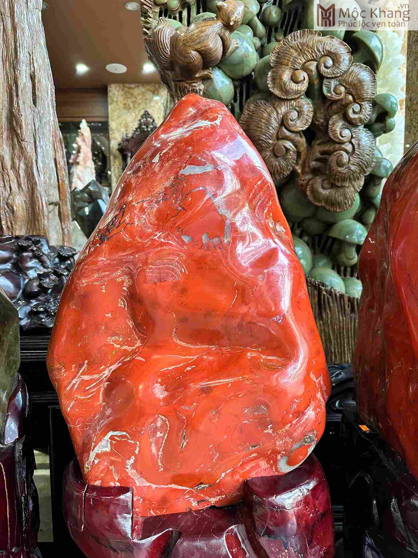 dai-canh-ngoc-bich-cao-66cm (1) dai-canh-ngoc-bich-cao-66cm