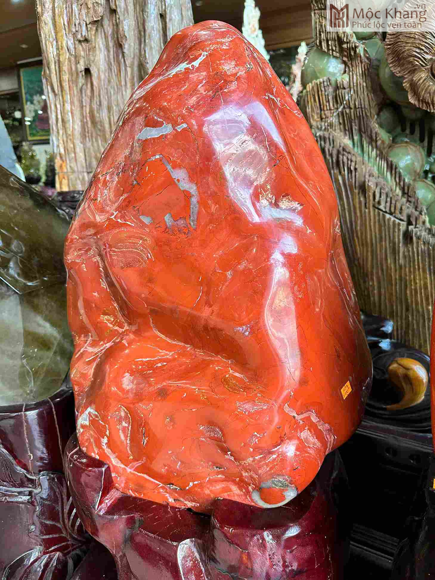 dai-canh-ngoc-bich-cao-66cm (2) dai-canh-ngoc-bich-cao-66cm