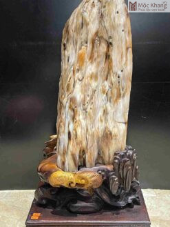 Gỗ Hóa Thạch Cao 55(cm)