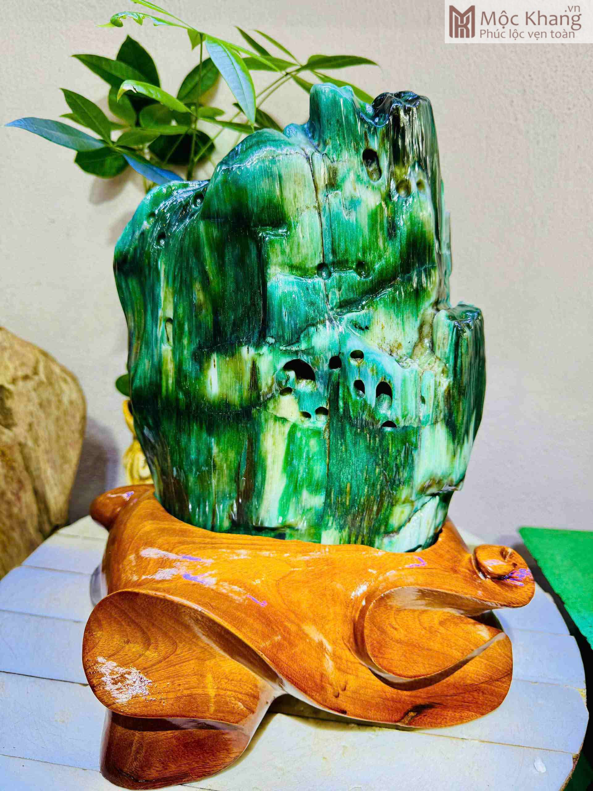 Gỗ Hóa Thạch Xanh