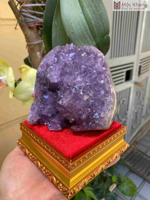 Hốc Tinh Thể Thạch Anh Tím Cao 10(cm)