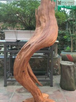 Lũa Sụn Ngọc Am Cao 158(cm)