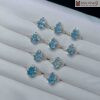 nhan-bac-kim-tien-ty-huu-aqua