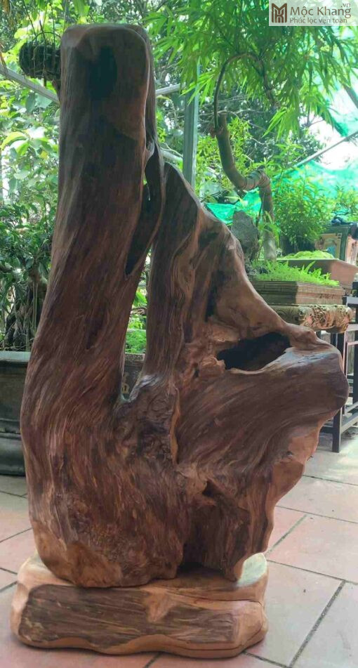 Sụn Ngọc Am Cao 116(cm)