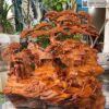 Tiểu Cảnh Tam Dương Khai Thái Gỗ Hương Cao 68(cm)
