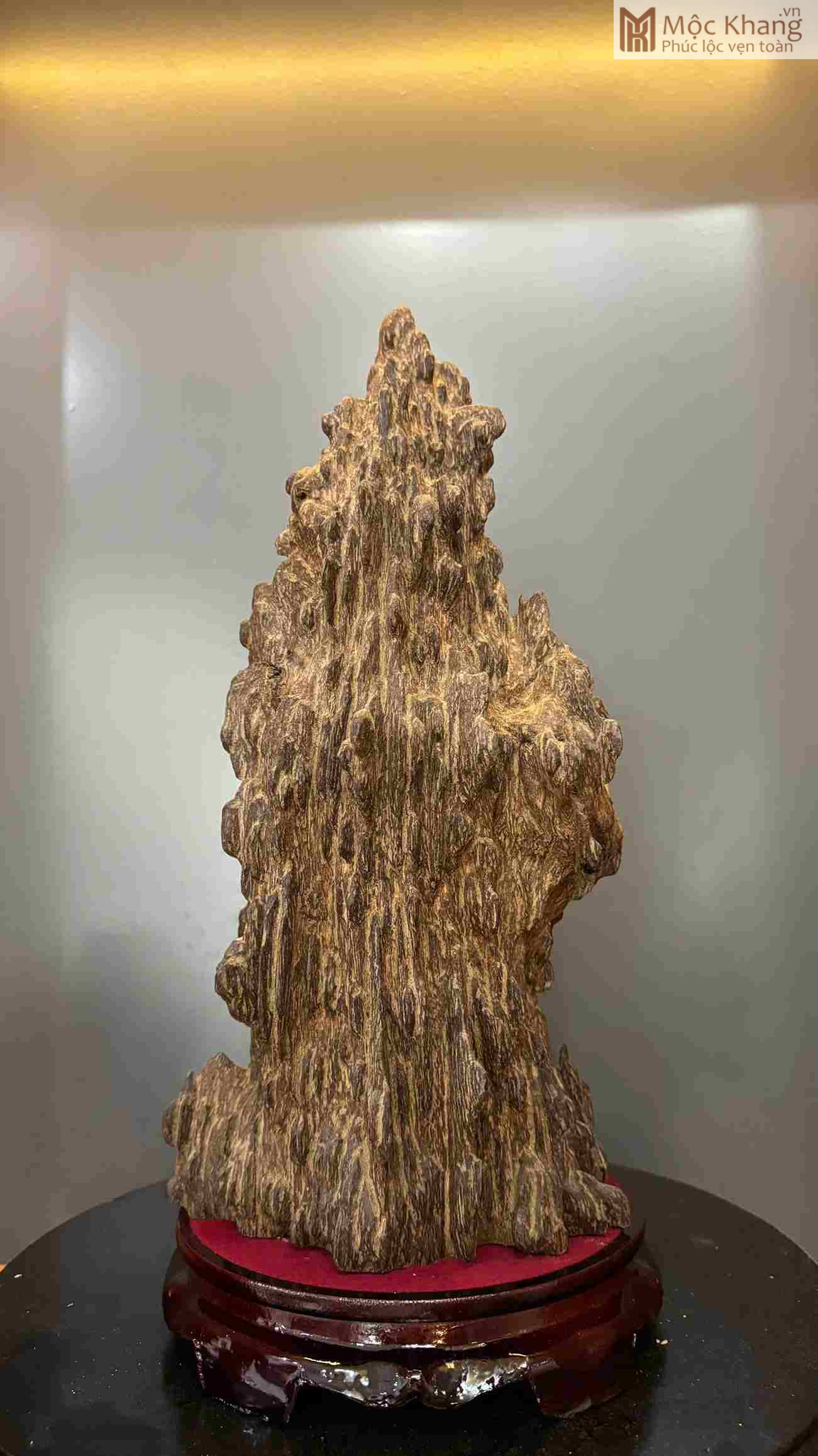 tram-huong-canh-cao-43cm (1) tram-huong-canh-cao-43cm