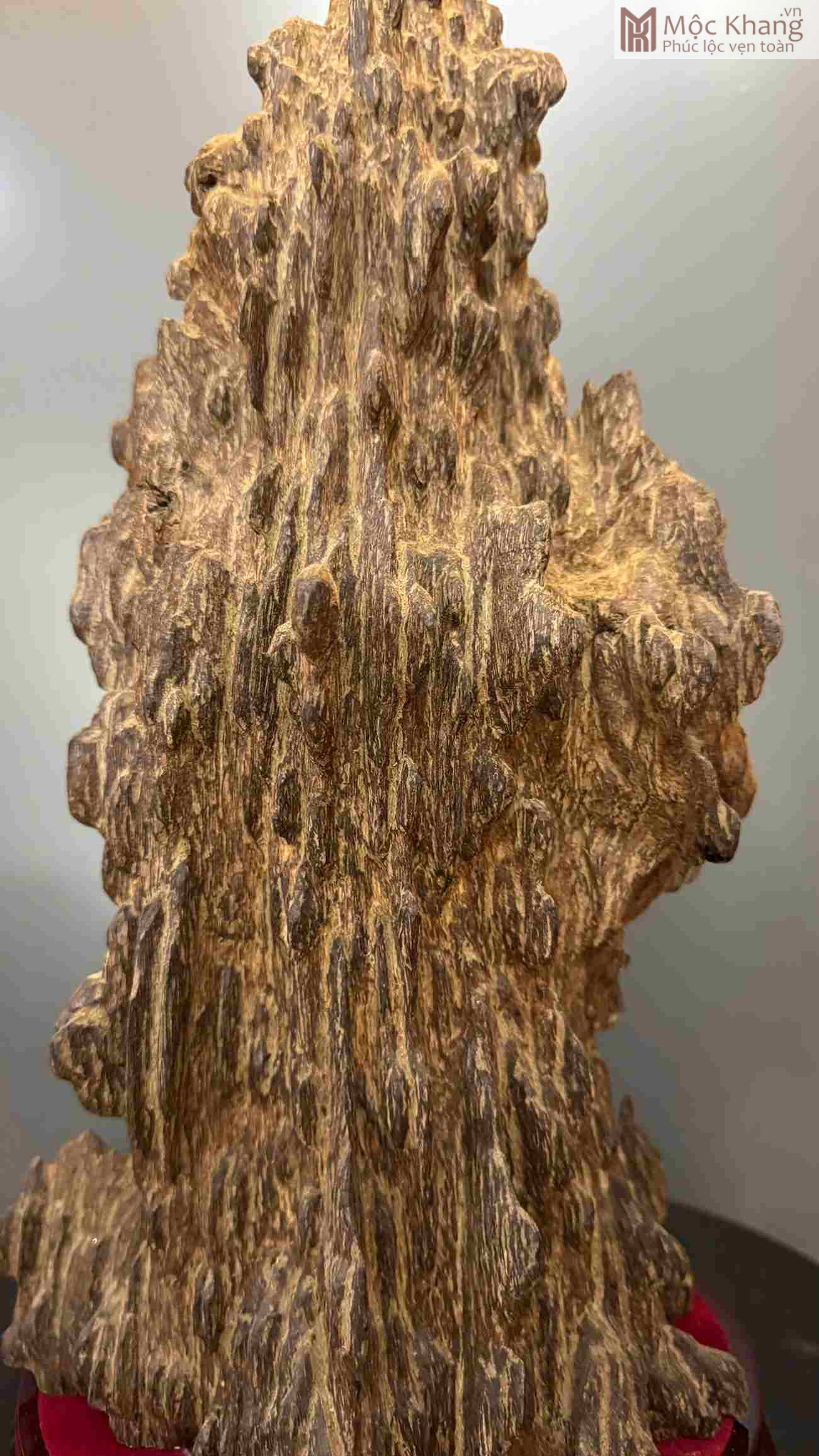 tram-huong-canh-cao-43cm (2) tram-huong-canh-cao-43cm
