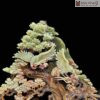 tung-hac-vien-nien-ngoc-onyx-xanh-cao-63cm