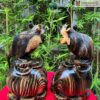 tuong-chuot-dung-bao-tien-go-mun-cao-27cm