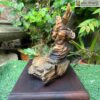 tuong-quan-cong-tran-ai-go-bach-xanh-ngang-25cm