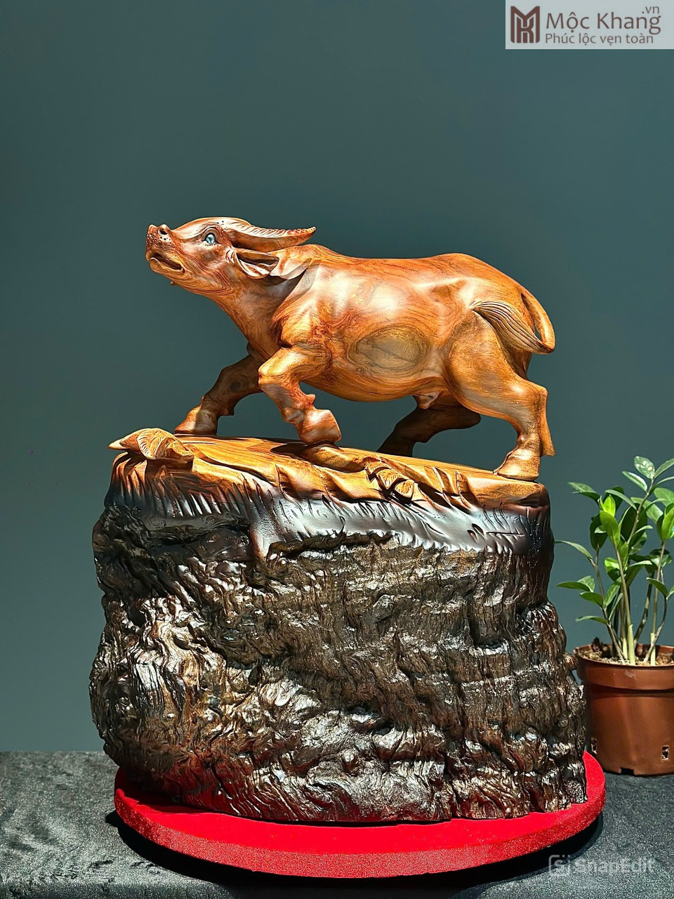 tuong-trau-go-huong-cao-50cm (1) Tượng Trâu Gỗ Hương Cao 50(cm)