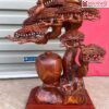 Bình Tùng Gỗ Sưa Cao 50 (cm)