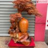 Bình Tùng Gỗ Hương Cao 111 (cm)