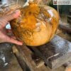 Chum Phu Quy Go Hoa Thach Duong Kinh 20 cm 2
