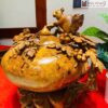 Chum Phu Quy Go Nu Huong Cao 38 cm 3