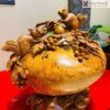 Chum Phú Quý Gỗ Nu Hương Cao 38 (cm)