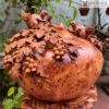 Chum Phu Quy Nho Soc Go Nu Ngoc Am Cao 47 cm 4