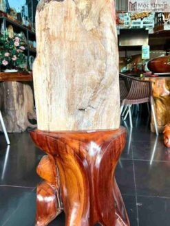 Gỗ Hóa Thạch Gia Lai Đỏ Cao 109 (cm)