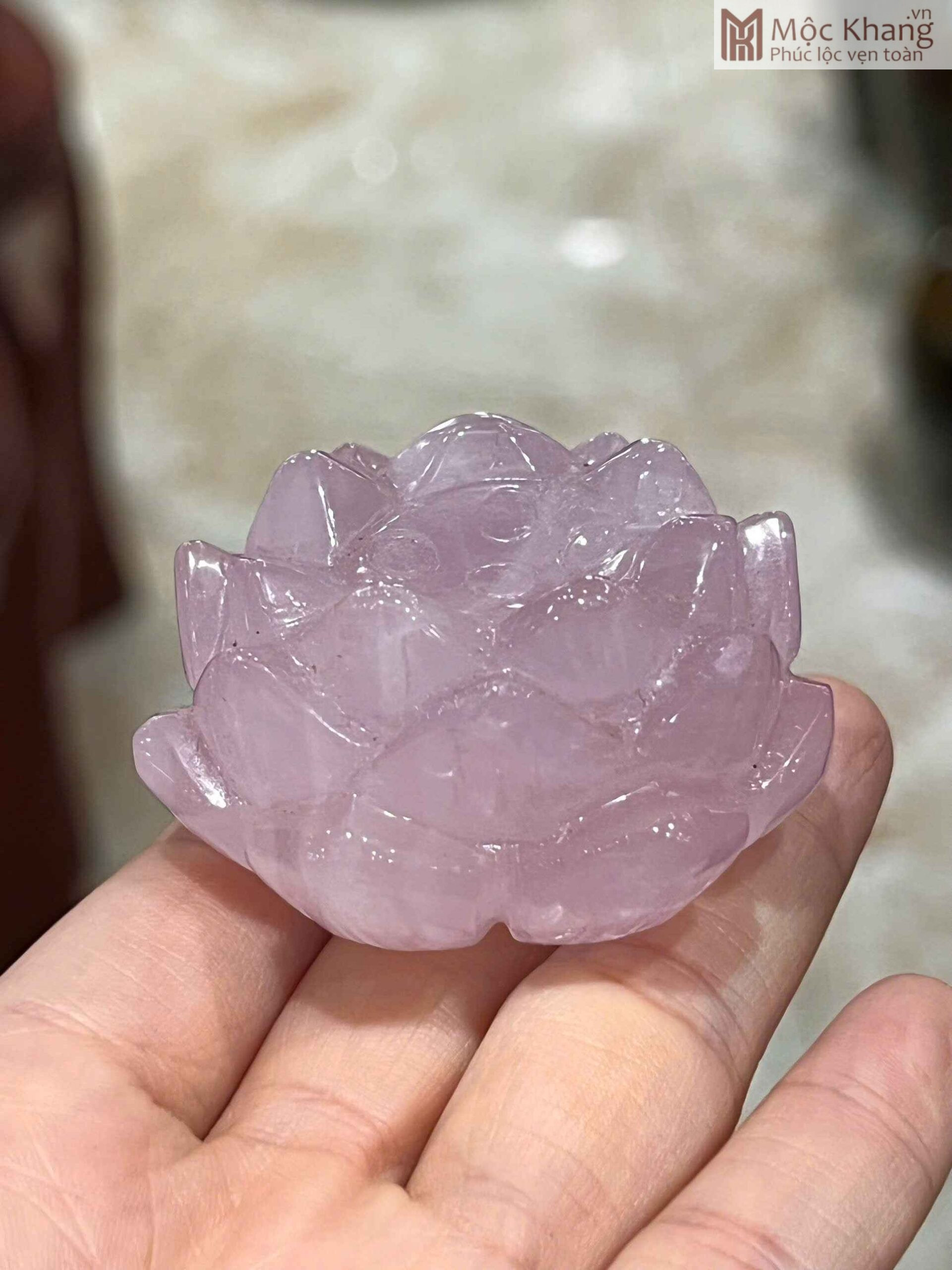 Hoa Sen Thạch Anh Hồng Đường Kính 3,8 (cm) (4)_4 Hoa Sen Thạch Anh Hồng Đường Kính 3,8 (cm)