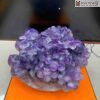 Nho Phú Quý Ngọc Fluorite Tím Cao 28 (cm)