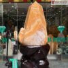 Nui Canh Ngoc Hoang Long Cao 206 cmNui Canh Ngoc Hoang Long Cao 206 cm 3 3