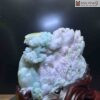 Tac Pham Vinh Quy Bai To Ngoc Phi Thuy Cao 23 cm 2 2
