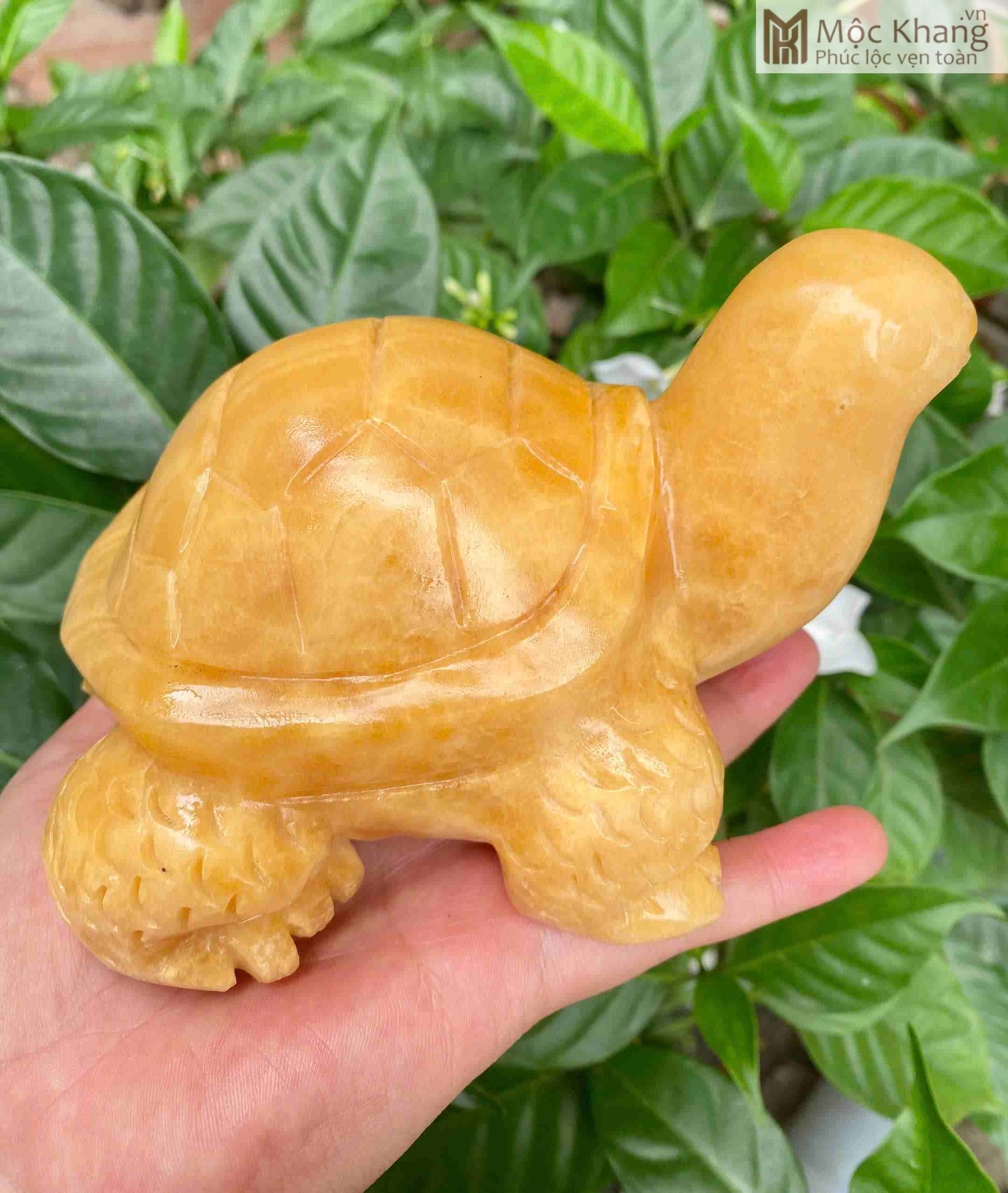 Tượng Rùa Ngọc Hoàng Long Cao 15 (cm) (2)_2 Tuong Rua Ngoc Hoang Long Cao 15 cm 2 2