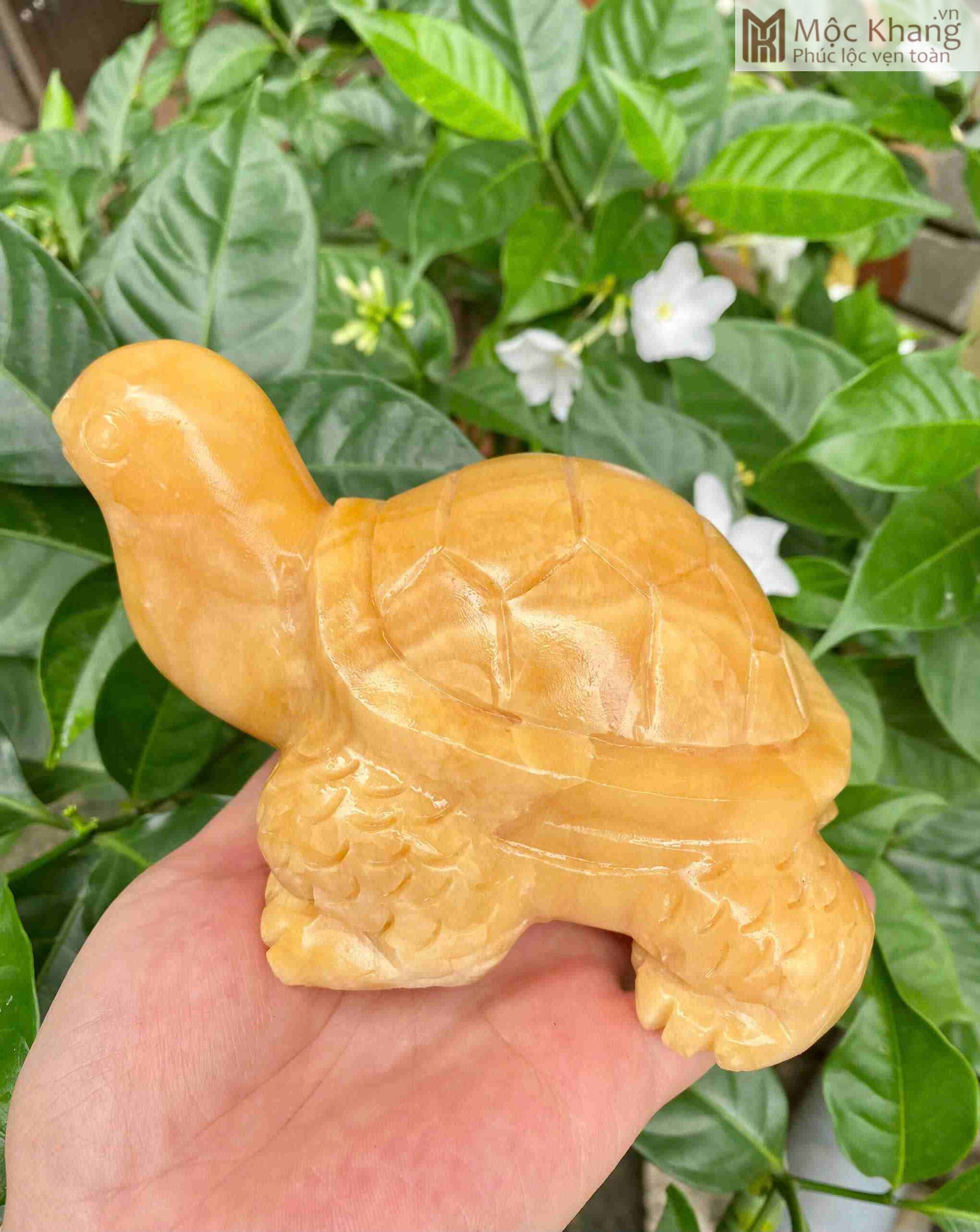 Tượng Rùa Ngọc Hoàng Long Cao 15 (cm) (3)_3 Tượng Rùa Ngọc Hoàng Long Cao 15 (cm)
