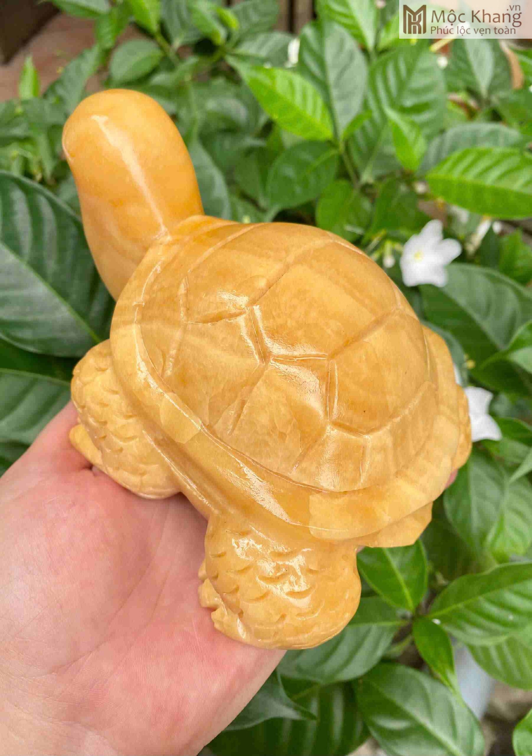 Tượng Rùa Ngọc Hoàng Long Cao 15 (cm) (4)_4 Tuong Rua Ngoc Hoang Long Cao 15 cm 4 4 scaled