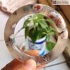 Vong Ban Ma Nao Hoa Anh Dao Ni 555 mm 2