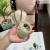 Vong Ban Ngoc Hoa Dien Ni 556 mm 1 1