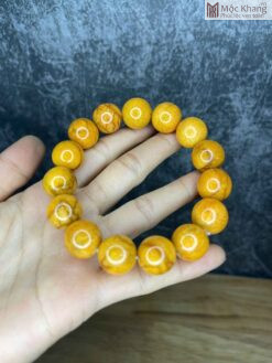 Vòng Tay San Hô Vàng Hạt 16 (mm)