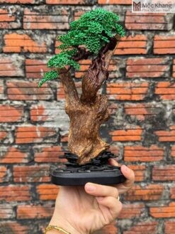 Cảnh Trầm Kiến Mix Bonsai Cao 25 (cm)