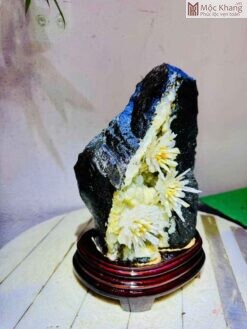 Hoa Ưu Đàm Trắng – Vàng Cao 25 (cm)
