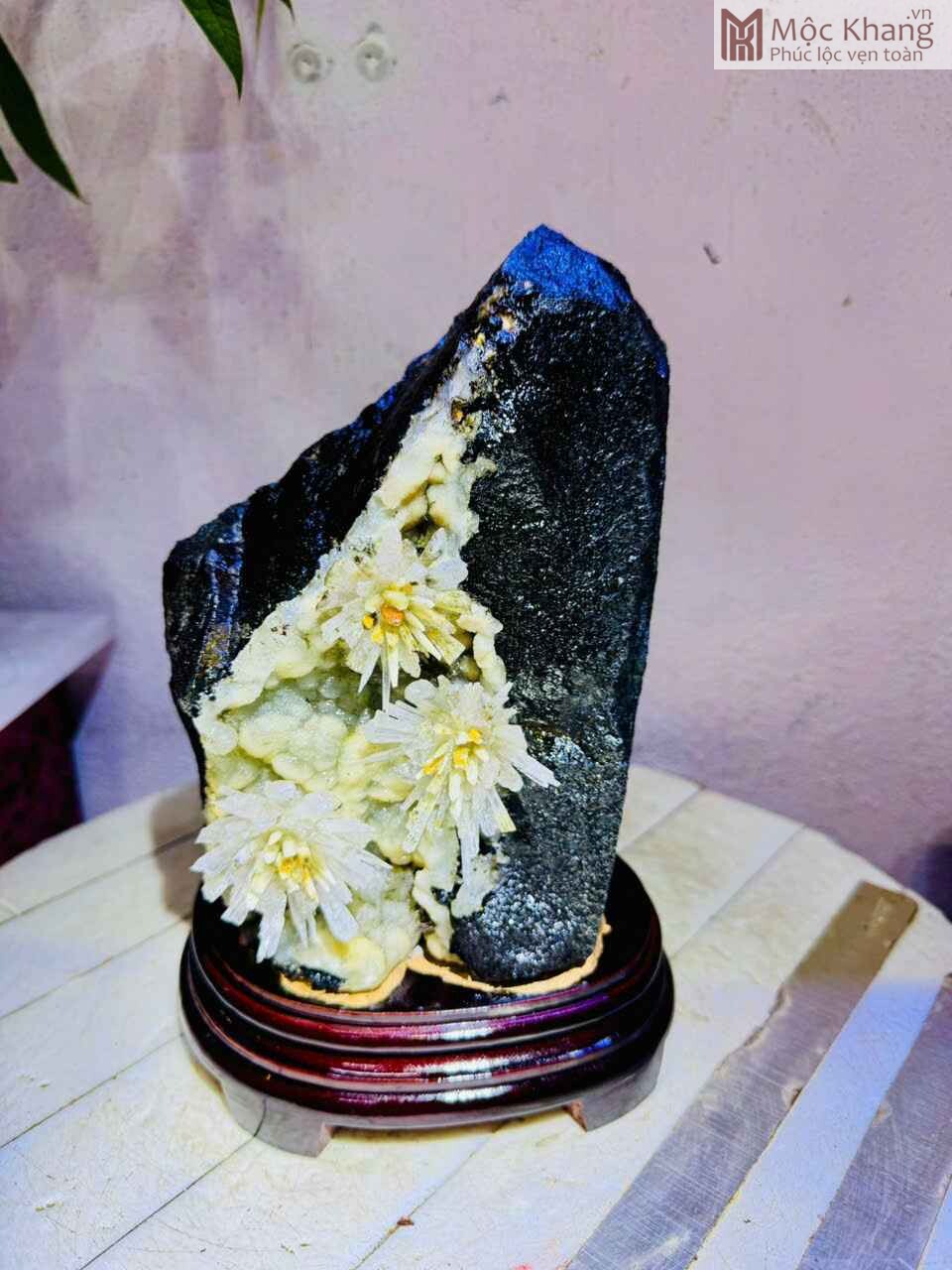 Hoa Ưu Đàm Trắng – Vàng Cao 25 (cm) (2) Hoa Uu Dam Trang – Vang Cao 25 cm 2
