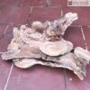 Khay Tra Chun Sun Xa Xi Cao 4 cm Khay Tra Chun Sun Xa Xi Cao 4 cm 3