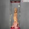Tượng Đạt Ma Thuần Nghê Gỗ Sưa Đỏ Cao 88 (cm)